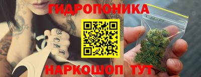 индика Ипатово