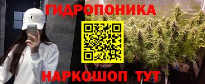 индика Ипатово