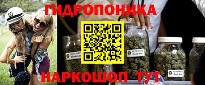 индика Ипатово