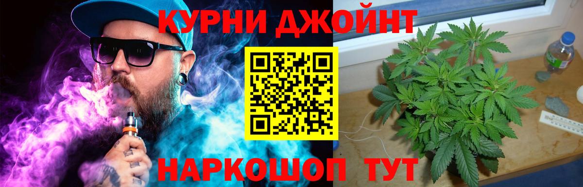 Канабис план  МАРИХУАНА тримм  Североуральск  Бошки Шишки планчик  Вход с VPN  Каннабис Amnesia 